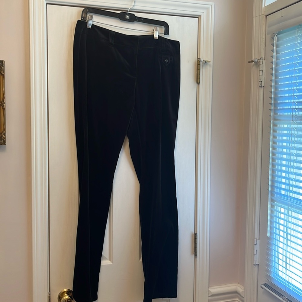 GENERRA pant